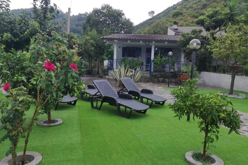 Villa Cilento Mare, Bellissima Con Ampio Giardino Capitello Buitenkant foto