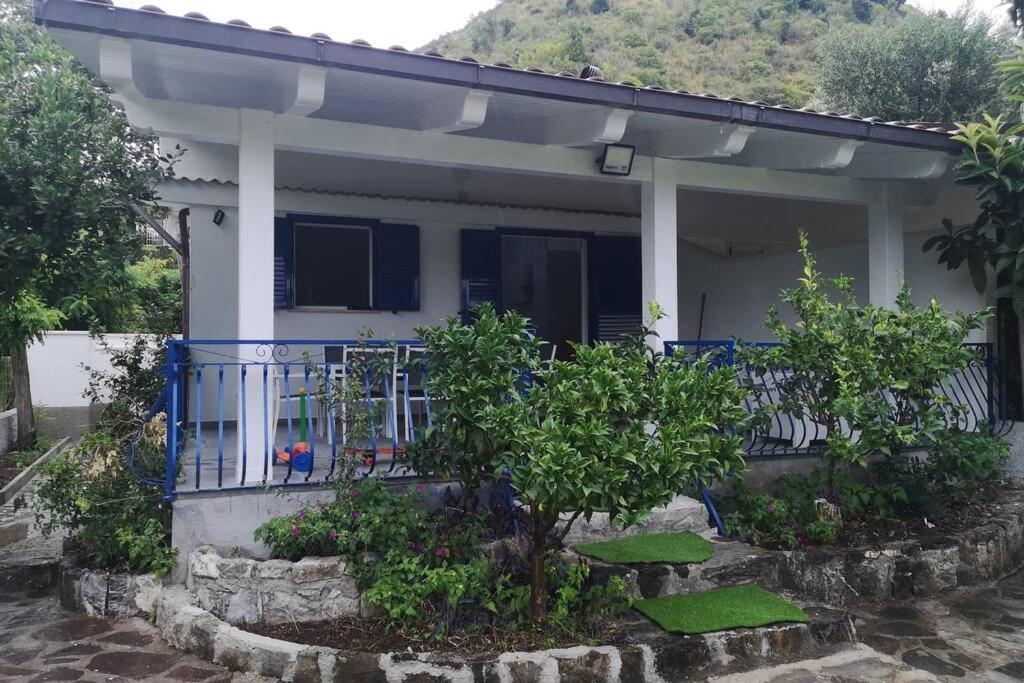 Villa Cilento Mare, Bellissima Con Ampio Giardino Capitello Buitenkant foto